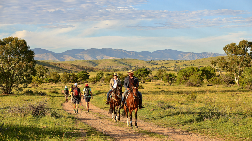 Cabalgatas, caminatas y naturaleza: actividades de campo en Argentina