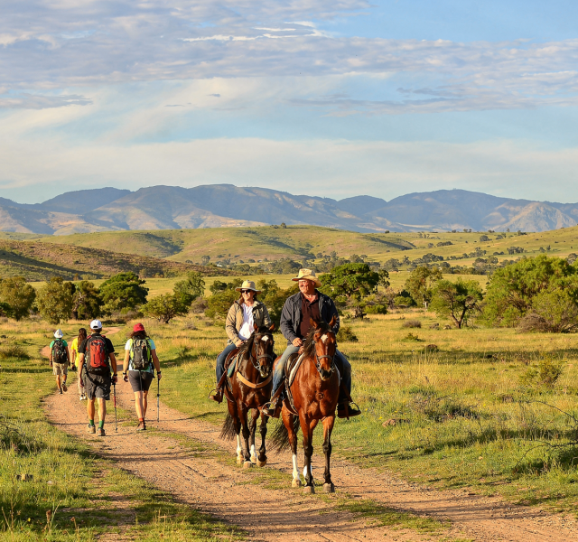 Cabalgatas, caminatas y naturaleza: actividades de campo en Argentina